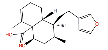 Kerlinic acid